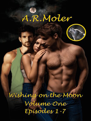 cover image of Wishing on the Moon Volume 1